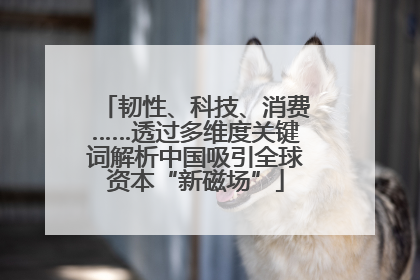 韧性、科技、消费……透过多维度关键词解析中国吸引全球资本“新磁场”