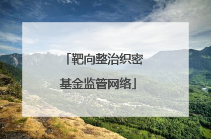 靶向整治织密基金监管网络