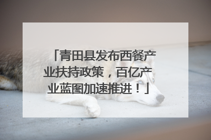 青田县发布西餐产业扶持政策，百亿产业蓝图加速推进！