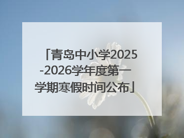 青岛中小学2025-2026学年度第一学期寒假时间公布