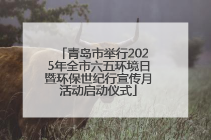青岛市举行2025年全市六五环境日暨环保世纪行宣传月活动启动仪式