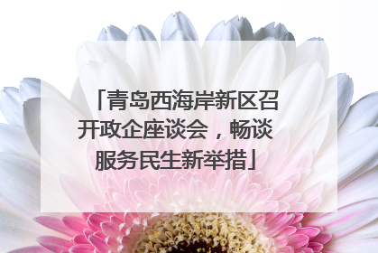 青岛西海岸新区召开政企座谈会，畅谈服务民生新举措