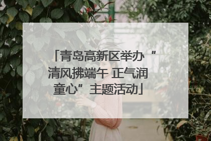 青岛高新区举办“清风拂端午 正气润童心”主题活动