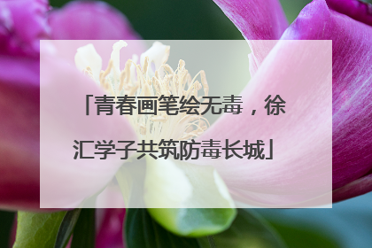 青春画笔绘无毒，徐汇学子共筑防毒长城
