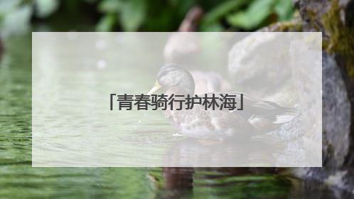 青春骑行护林海