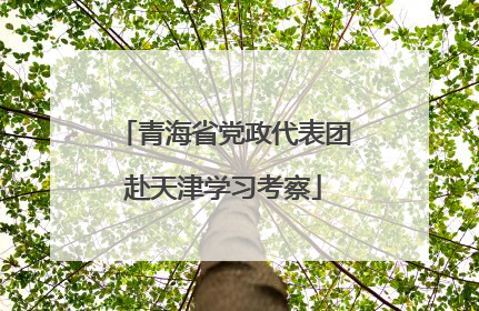 青海省党政代表团赴天津学习考察