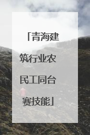 青海建筑行业农民工同台赛技能