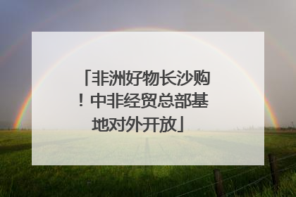 非洲好物长沙购！中非经贸总部基地对外开放