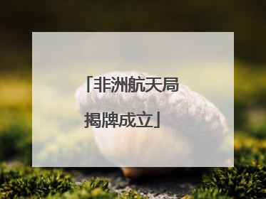 非洲航天局揭牌成立