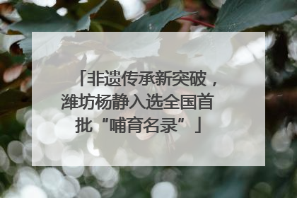 非遗传承新突破，潍坊杨静入选全国首批“哺育名录”