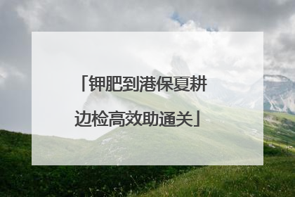 钾肥到港保夏耕 边检高效助通关