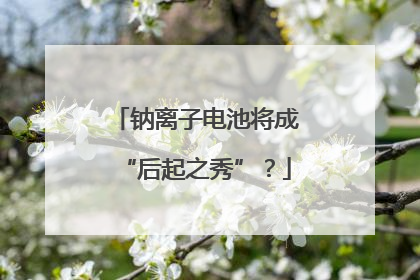 钠离子电池将成“后起之秀”？