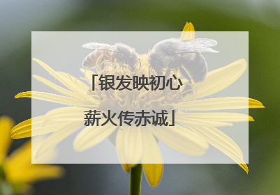 银发映初心 薪火传赤诚