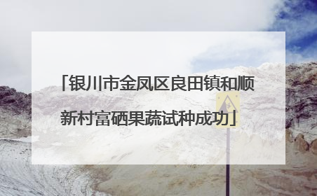 银川市金凤区良田镇和顺新村富硒果蔬试种成功