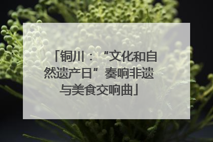铜川：“文化和自然遗产日”奏响非遗与美食交响曲
