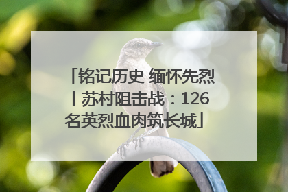 铭记历史 缅怀先烈丨苏村阻击战：126名英烈血肉筑长城