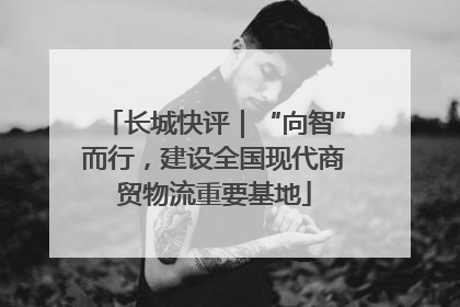 长城快评｜“向智”而行，建设全国现代商贸物流重要基地