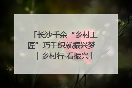 长沙千余“乡村工匠”巧手织就振兴梦｜乡村行·看振兴