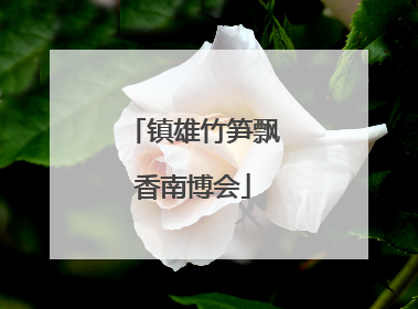 镇雄竹笋飘香南博会