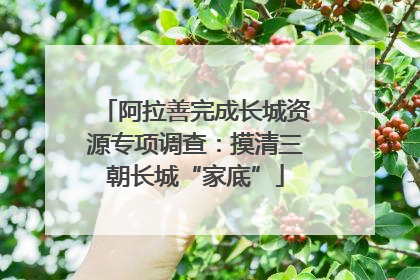 阿拉善完成长城资源专项调查：摸清三朝长城“家底”