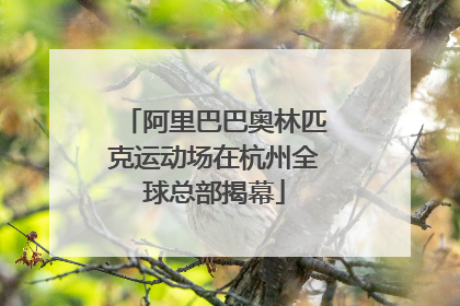阿里巴巴奥林匹克运动场在杭州全球总部揭幕