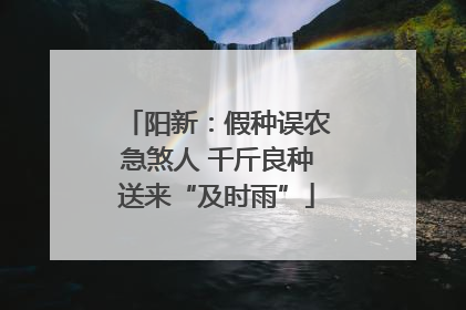 阳新：假种误农急煞人 千斤良种送来“及时雨”