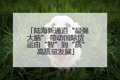 陆海新通道“最强大脑” 带动国际货运由“智”到“质”高质量发展