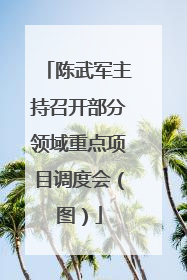 陈武军主持召开部分领域重点项目调度会（图）