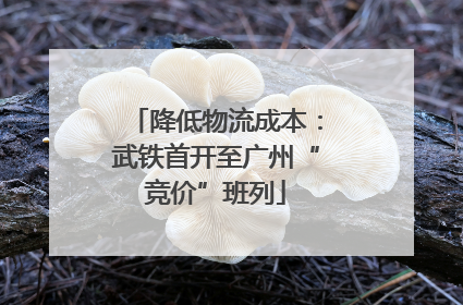 降低物流成本：武铁首开至广州“竞价”班列