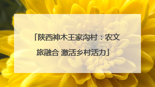 陕西神木王家沟村：农文旅融合 激活乡村活力