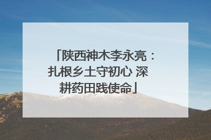 陕西神木李永亮：扎根乡土守初心 深耕药田践使命