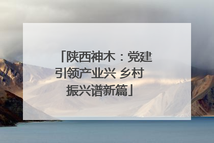 陕西神木：党建引领产业兴 乡村振兴谱新篇