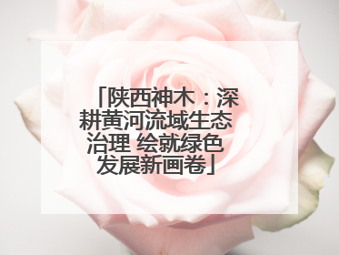 陕西神木：深耕黄河流域生态治理 绘就绿色发展新画卷
