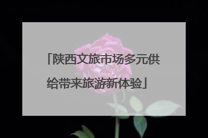 陕西文旅市场多元供给带来旅游新体验