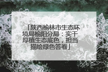 陕西榆林市生态环境局榆阳分局：实干厚植生态底色，担当描绘绿色答卷