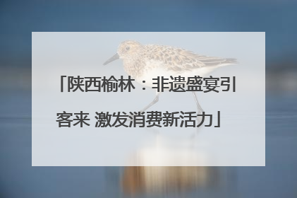 陕西榆林：非遗盛宴引客来 激发消费新活力