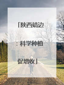 陕西靖边：科学种植促增收