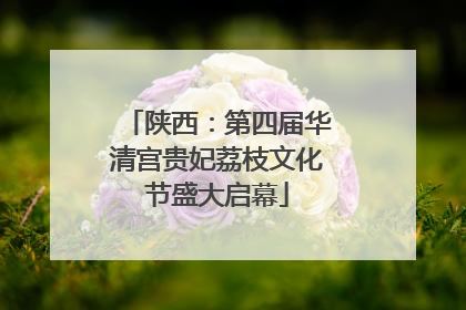 陕西：第四届华清宫贵妃荔枝文化节盛大启幕