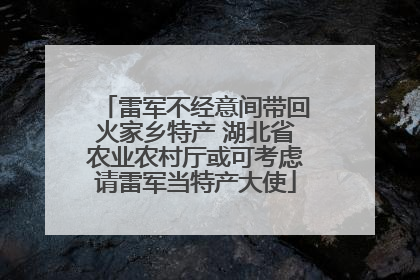 雷军不经意间带回火家乡特产 湖北省农业农村厅或可考虑请雷军当特产大使