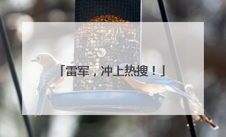雷军，冲上热搜！