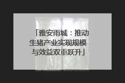 雅安雨城：推动生猪产业实现规模与效益双重跃升