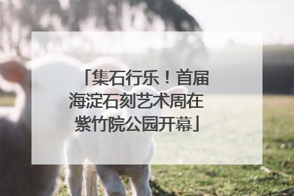 集石行乐！首届海淀石刻艺术周在紫竹院公园开幕