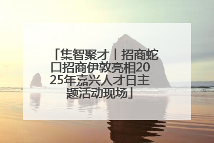集智聚才丨招商蛇口招商伊敦亮相2025年嘉兴人才日主题活动现场