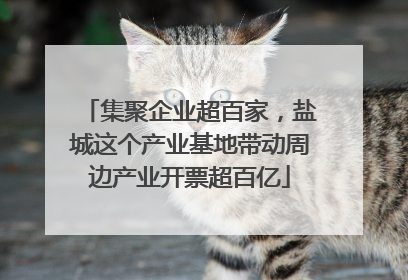 集聚企业超百家，盐城这个产业基地带动周边产业开票超百亿