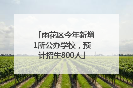 雨花区今年新增1所公办学校，预计招生800人