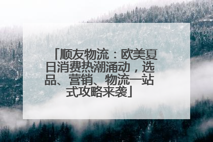 顺友物流：欧美夏日消费热潮涌动，选品、营销、物流一站式攻略来袭