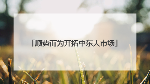 顺势而为开拓中东大市场
