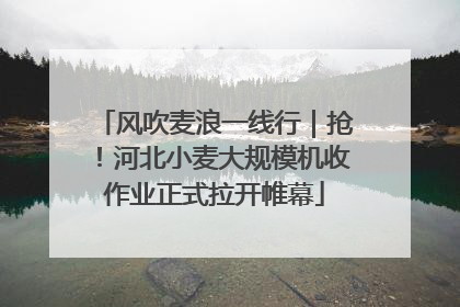 风吹麦浪一线行｜抢！河北小麦大规模机收作业正式拉开帷幕
