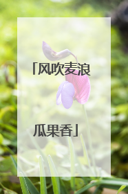 风吹麦浪 瓜果香