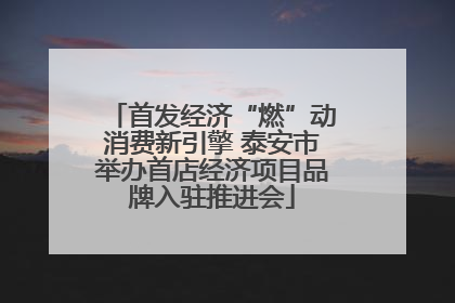 首发经济“燃”动消费新引擎 泰安市举办首店经济项目品牌入驻推进会